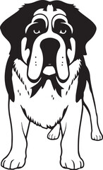 Saint Bernard dog. Hand drawn vector illustration	