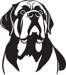 Saint Bernard dog. Hand drawn vector illustration	