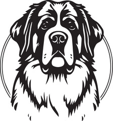Saint Bernard dog. Hand drawn vector illustration	