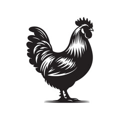 Chicken Silhouette Vector Illustration
