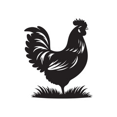 Chicken Silhouette Vector Illustration
