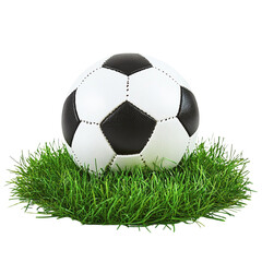 Obraz premium Soccer ball on green grass ready for a game excitement and fun