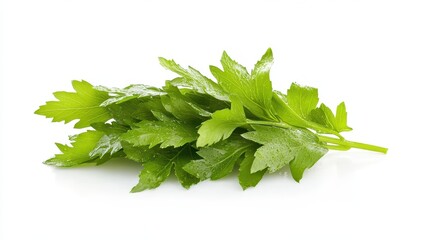 Fresh Chinese Celery Isolated on White Background - Vibrant Green Leaves of a Wholesome Vegetarian Vegetable