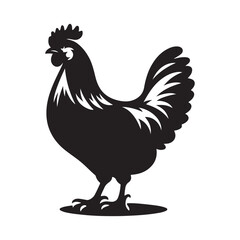 Chicken Silhouette Vector Illustration
