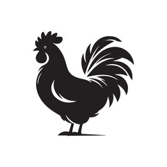 Chicken Silhouette Vector Illustration
