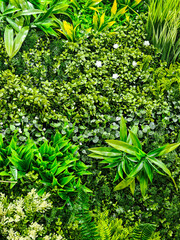 A wall covered in green plants and flowers