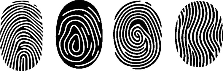 Fingerprint line texture, biometric, identity icon.