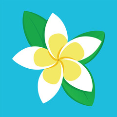 Vector tropical plant Plumeria flowers