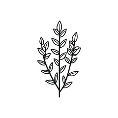 Minimalist Plant Isolated on Transparent Background Design