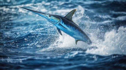 Fototapeta premium Dynamic Blue Marlin Leaping Through Ocean Waves: A Captivating Display of Marine Wildlife in Motion