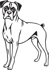 Boxer dog. Hand drawn vector illustration