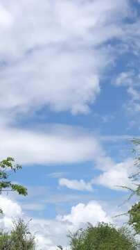 sky and clouds