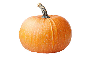 A round, vibrant orange squash, showcasing its ribbed texture and curved stem, standing alone against a transparent background