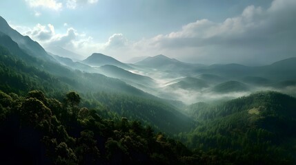 Fototapeta premium Enchanting Morning Scene in a Serene Green Forest Surrounded by Misty Mountains and Soft Light