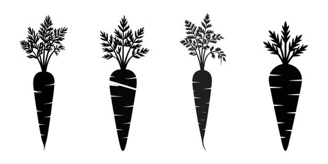 set of vector various carrot silhouettes, Set of three black carrot silhouettes with simple, clean designs on a white background, ideal for icons, logos, or food-themed graphics, A set carrot.