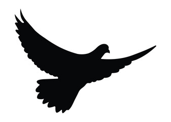 Pigeon graceful flight  silhouette  vector design. 