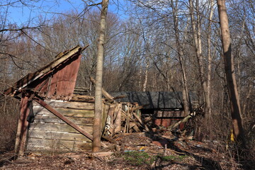 An old, decaying wooden structure with a partially collapsed roof, hidden deep in the forest. The...