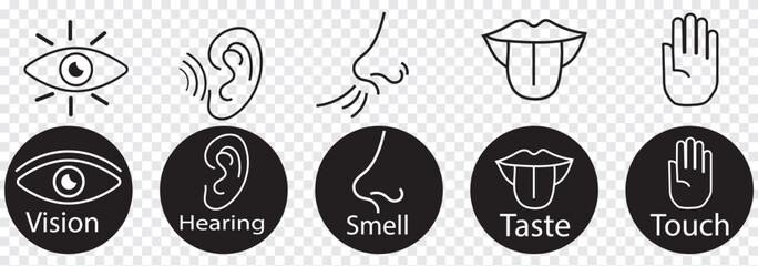 Five senses of human nervous system vector illustration. Vision through eye, smell with nose, taste with tongue line icon set.  Variety Design 5 Five senses.