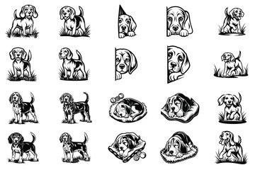 Naklejka premium Beagle