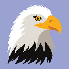 Bald Eagle Vector Art Illustration | Majestic Eagle Color Design