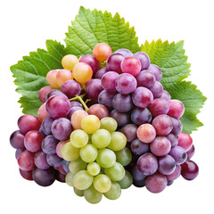 Fototapeta premium Mixed red, purple, and green grapes in a vibrant cluster with leaves, perfect for showcasing natural and nutritious fruits.
