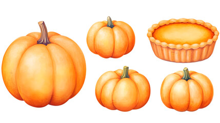 Realistic Watercolor Illustration of Pumpkins and Pumpkin Pie on Transparent Background