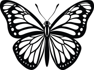 black and white butterfly