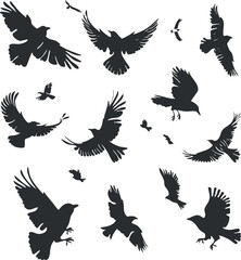 Obraz premium A collection of bird silhouettes in various poses and orientations showcasing flight and freedom.