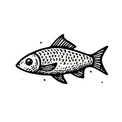 Fototapeta premium Black and white fish sketch, sea creature icon with copy space