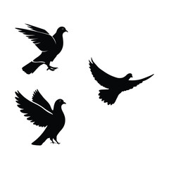 Pigeon graceful flight  silhouette  vector design. 