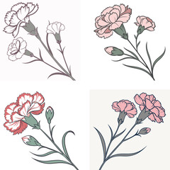  A carnation flower icon with soft, frilly petals