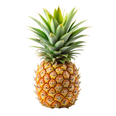 Fresh whole pineapple with vibrant green crown and golden yellow skin, isolated on Transparent Background.