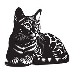 Bengal Cat Silhouette Vector Graphics, Cat vector Illustration, Pet.