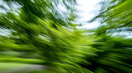 Verdant forest canopy, vibrant movement captured.