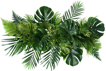Lush arrangement of green foliage with varied leaf shapes creates a vibrant and refreshing botanical display against transparent background