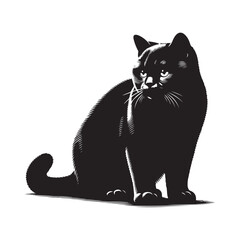 British shorthair cat silhouette vector art.