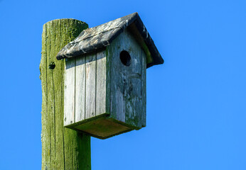 A wooden birdhouse is perched on a tall green post against a backdrop of a bright blue sky. The structure shows signs of weathering, indicating it has been there for some time