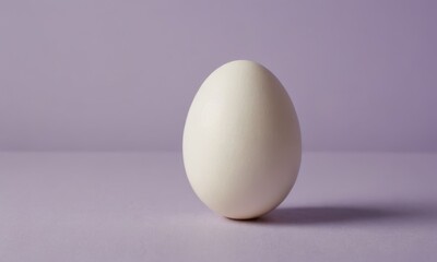 Egg resting on a solid surface against a pastel backdrop, emphasizing simplicity and minimalism in design