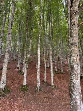 paesaggio