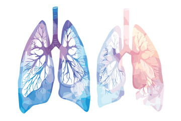 Realistic bronchi icon isolated on white background. Vector medical bronchi logo. 