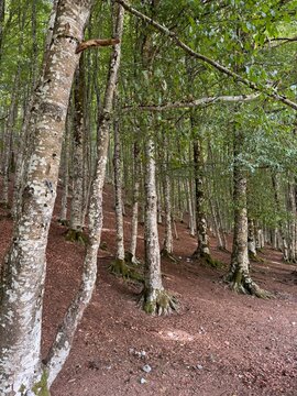 paesaggio