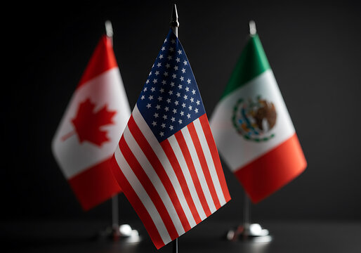 The flags of Canada, the United States, and Mexico stand together in an international display.
