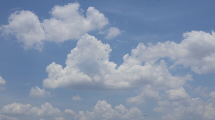 Bright Blue Sky with Fluffy White Cumulus Clouds