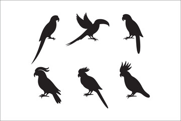 Naklejka premium Bird Silhouette Bundle | Flying Birds Vector Clipart | SVG, PNG, EPS for Cricut & Laser CuttingBirds Vector Silhouettes | Wildlife Animal SVG Files | Digital Bird Clipart for Crafts & DecorFlying 