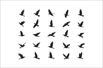 Naklejka premium Bird Silhouette Bundle | Flying Birds Vector Clipart | SVG, PNG, EPS for Cricut & Laser CuttingBirds Vector Silhouettes | Wildlife Animal SVG Files | Digital Bird Clipart for Crafts & DecorFlying 