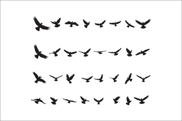 Naklejka premium Bird Silhouette Bundle | Flying Birds Vector Clipart | SVG, PNG, EPS for Cricut & Laser CuttingBirds Vector Silhouettes | Wildlife Animal SVG Files | Digital Bird Clipart for Crafts & DecorFlying 