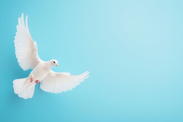 Fototapeta premium White Dove in Flight Peaceful Bird Soaring on Light Blue Background Hope Symbol