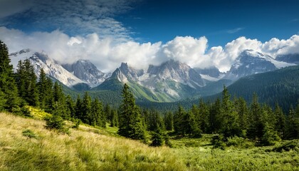 Obraz premium Mountain landscape with a forest under the sky