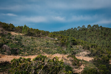 disc golf course in portugal
