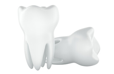 Human teeth, molar teeth. 3D rendering isolated on transparent background